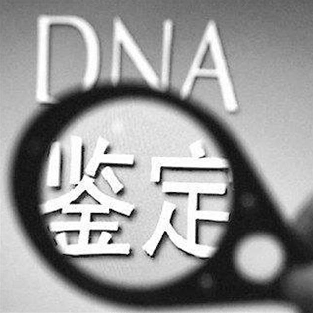 亲子鉴定可以看血型吗 DNA亲子鉴定准确率高吗