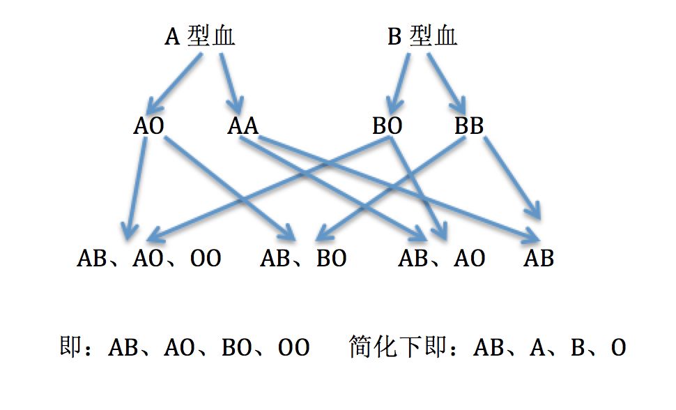 a型血b型血生的孩子是什么血型 怎么做亲子鉴定